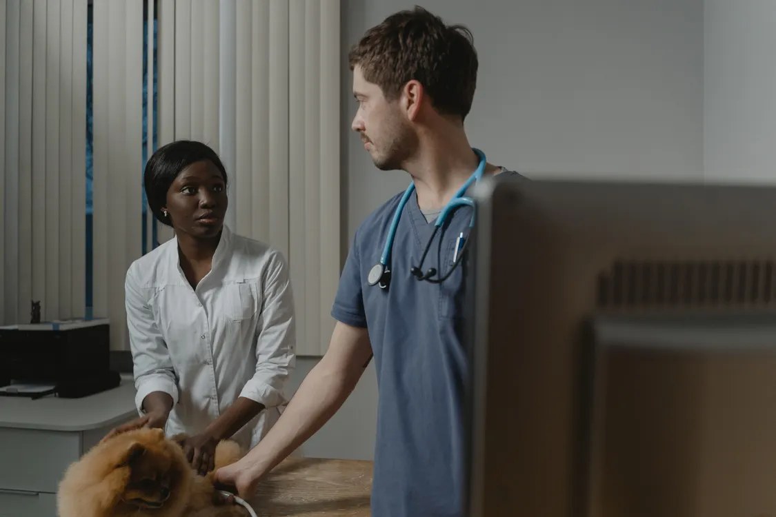 GJVAS author guide for veterinary researchers